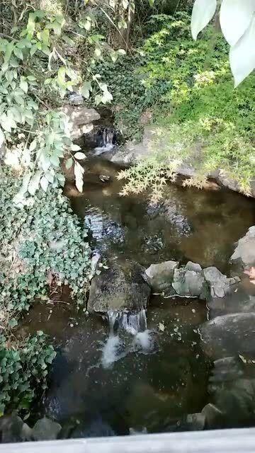 闺蜜谈恋爱，要不要劝她分手？